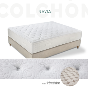 Navia