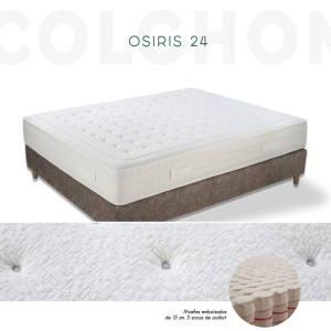 Osiris 24
